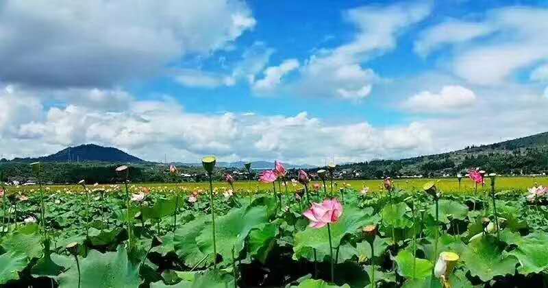 麗江研學(xué)旅行的定義及特點是什么？