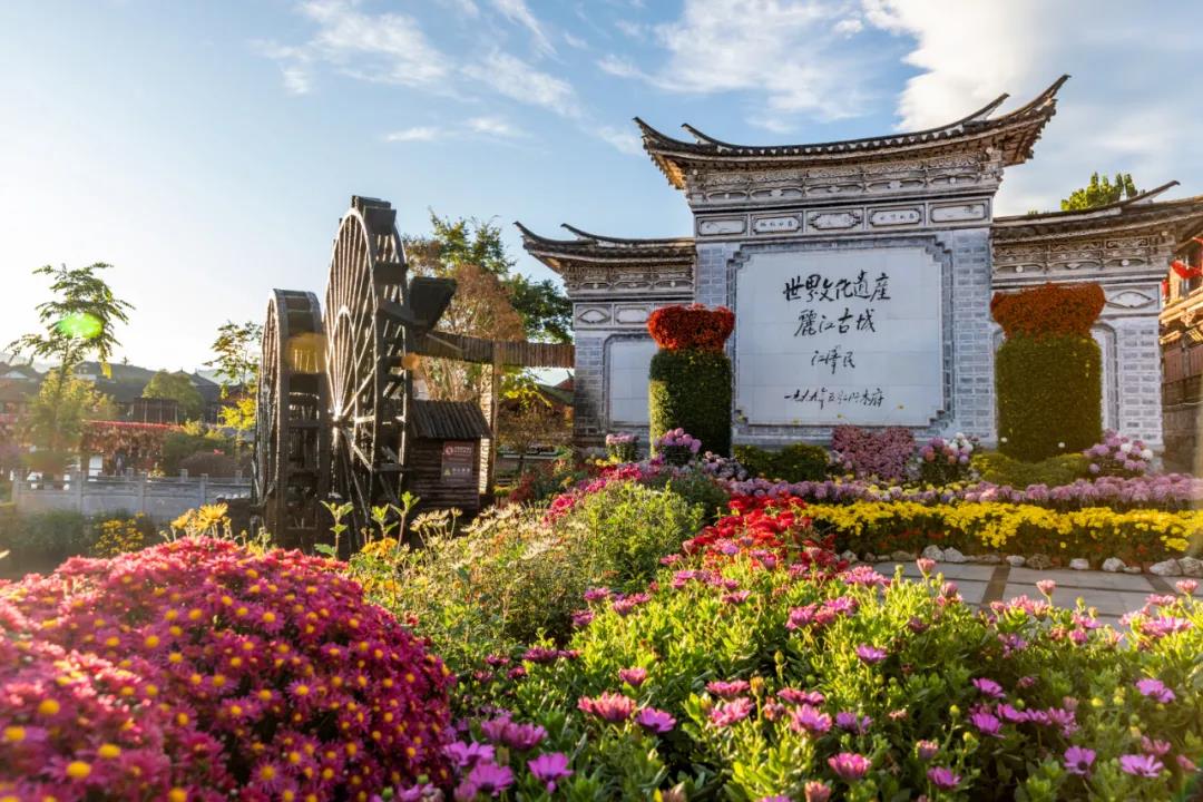 她們是麗江的“女神”，同意嗎？