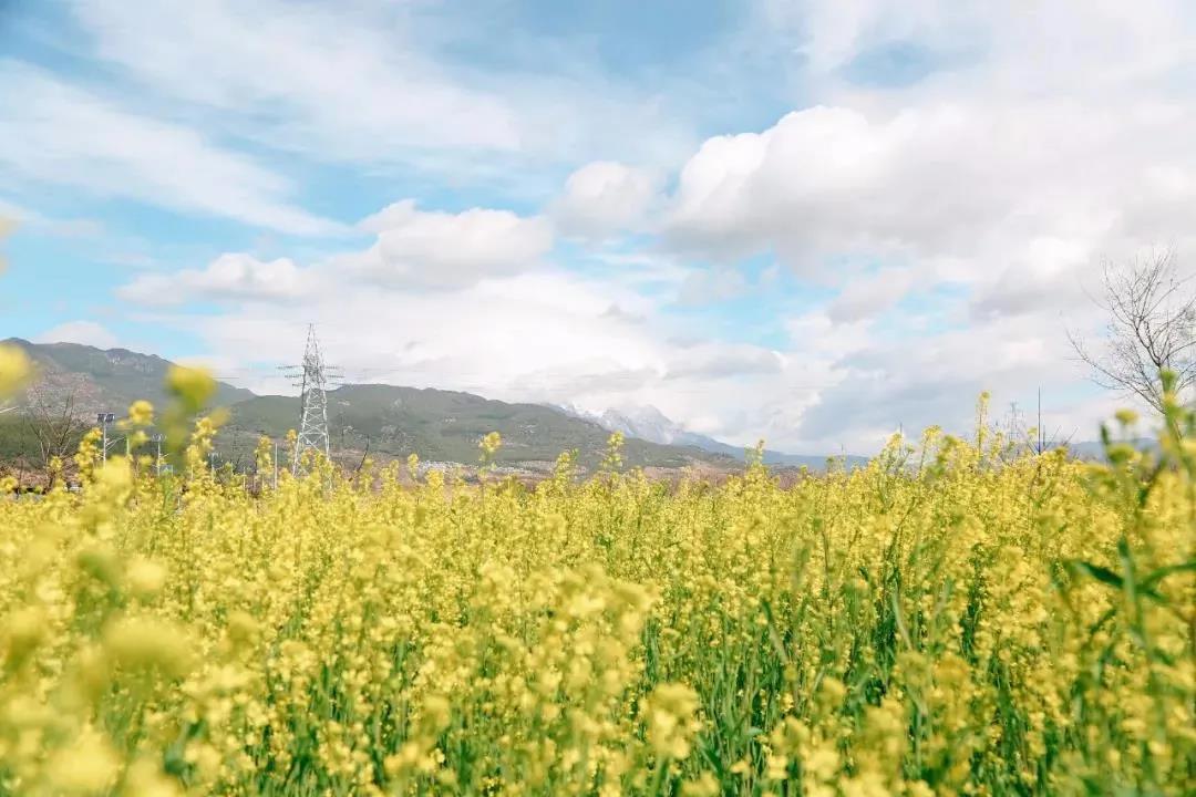 多彩麗江，村游正當(dāng)時(shí)，約起來！