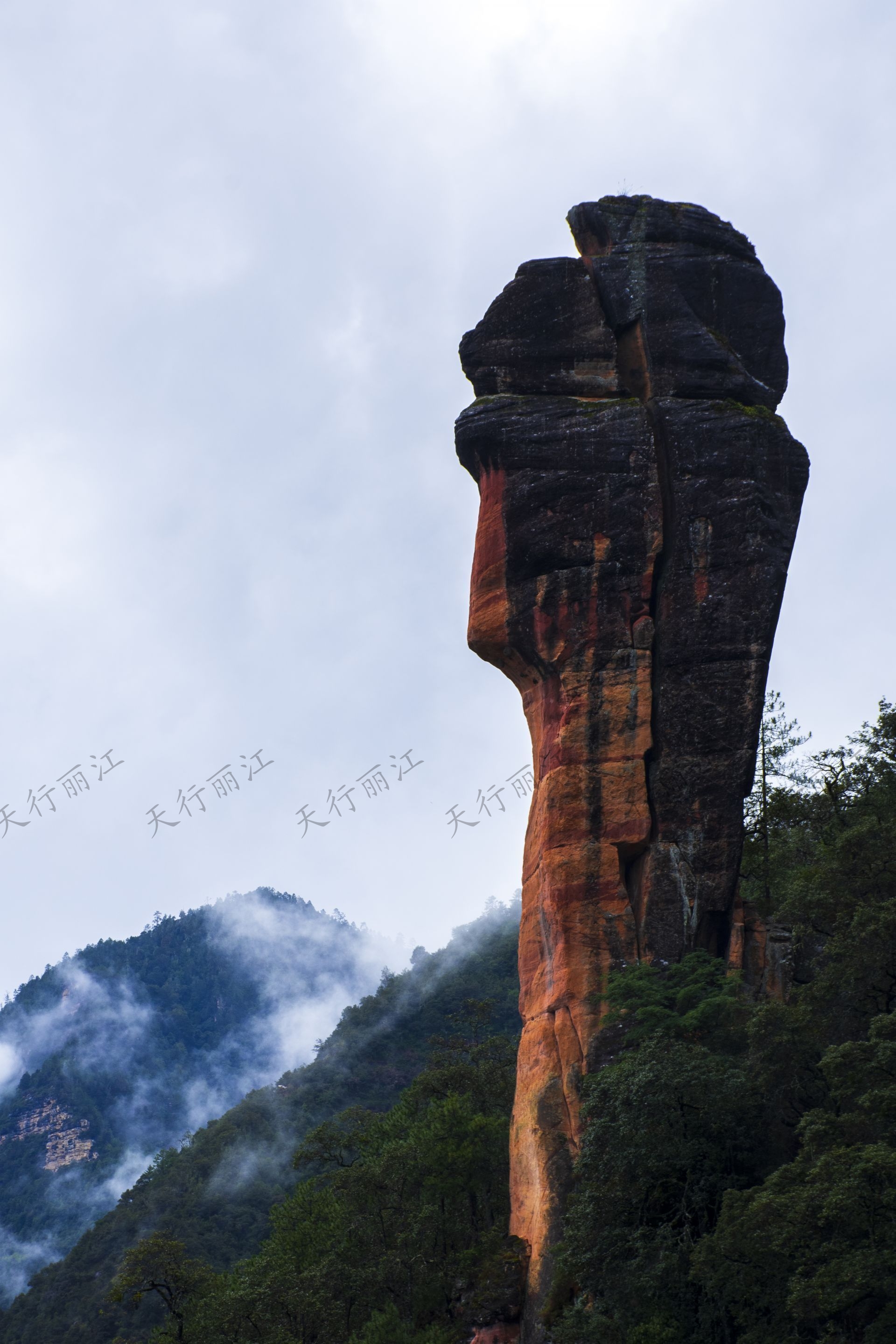 麗江老君山黎明景區(qū)因其避世的清幽、壯美的丹霞，成為了一處令人向往的秘境。 在這里，可以游壯美千龜山。景區(qū)以丹霞地貌聞名，是國內(nèi)面積最大、發(fā)育最完整的丹霞地貌。以千龜山為代表，其形如烏龜?shù)膲邀惥坝^，堪稱中國一絕。游人可乘坐索道，輕松游覽這一奇觀。