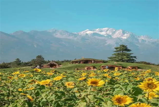 小心，來(lái)麗江玉龍雪山聽花谷“聽花”會(huì)上癮